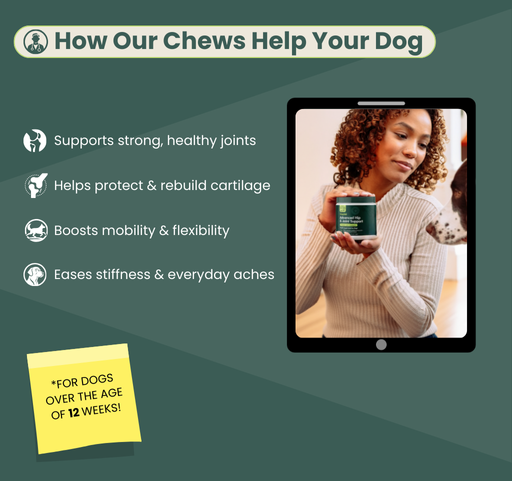 Advanced Dog Hip and Joint Support