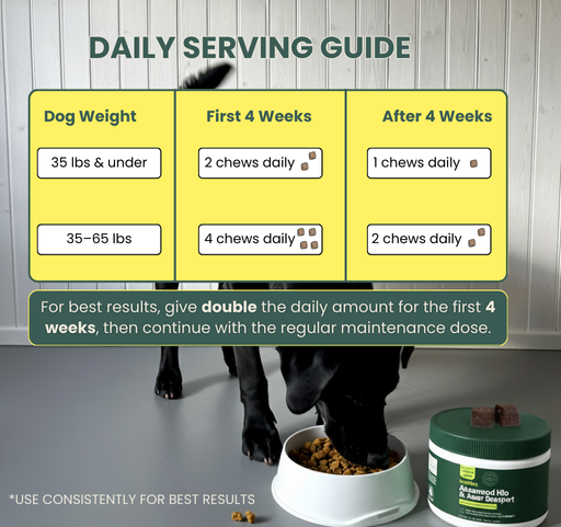 Advanced Dog Hip and Joint Support