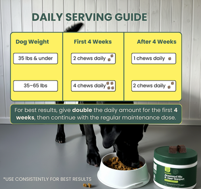 Advanced Dog Hip and Joint Support