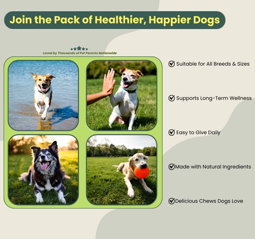 Advanced Dog Hip and Joint Support